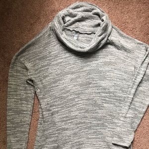 Aerie Oversized Turtleneck